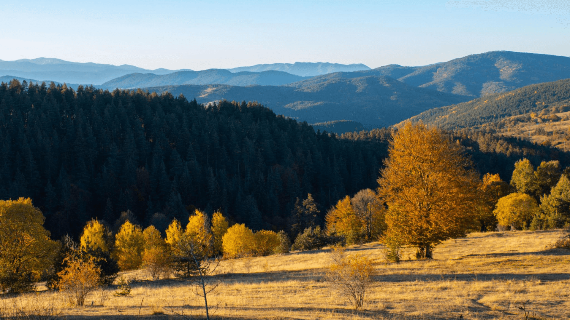 AUTUMN LEGEND — riding the Rhodope Mountains