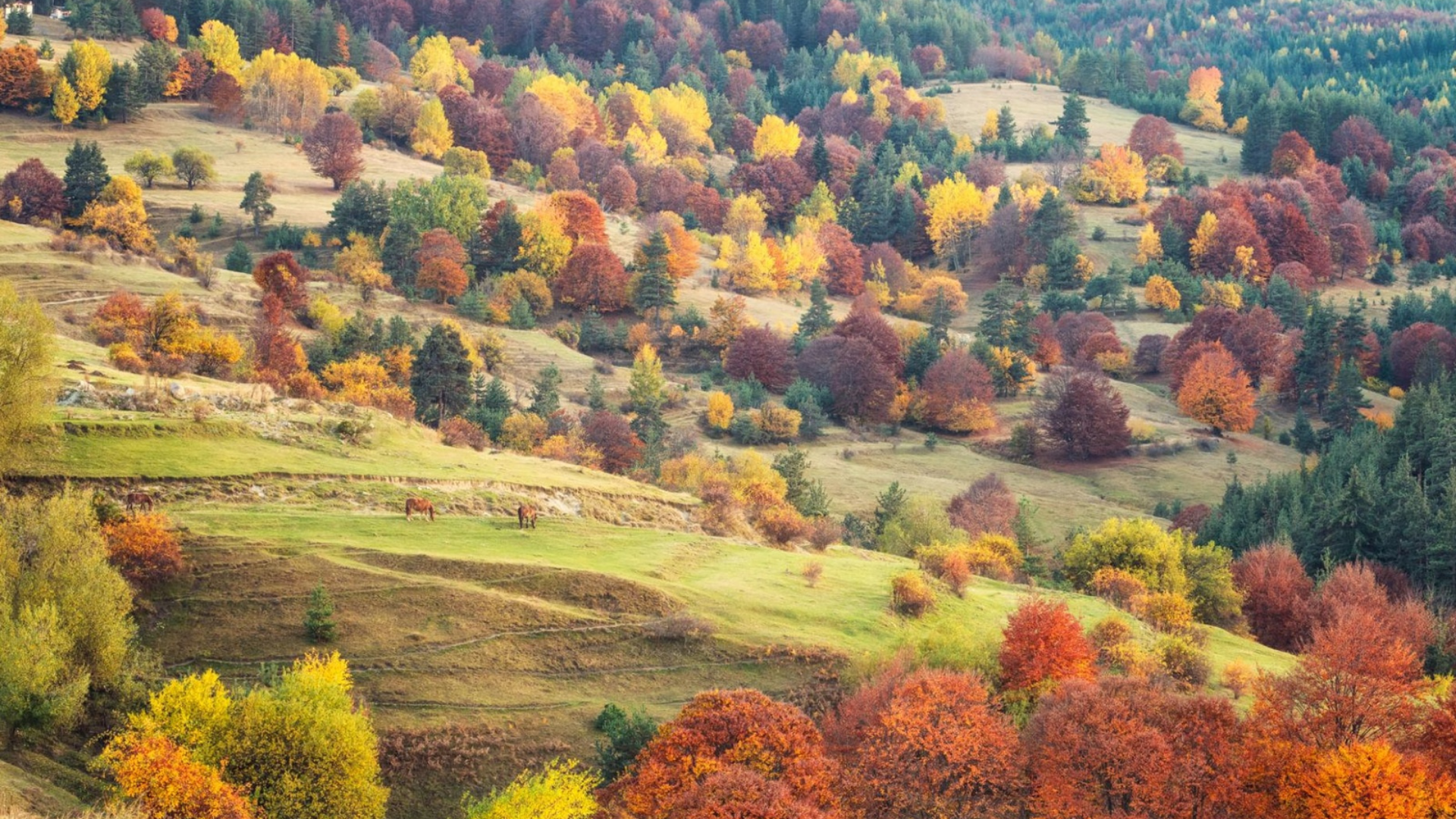 AUTUMN RHODOPE — riding the Rhodope Mountains