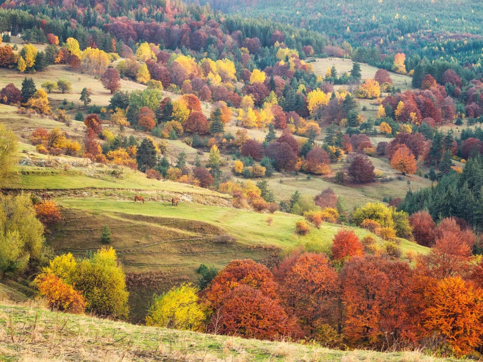 AUTUMN RHODOPE cycling camp in the Rhodope Mountains