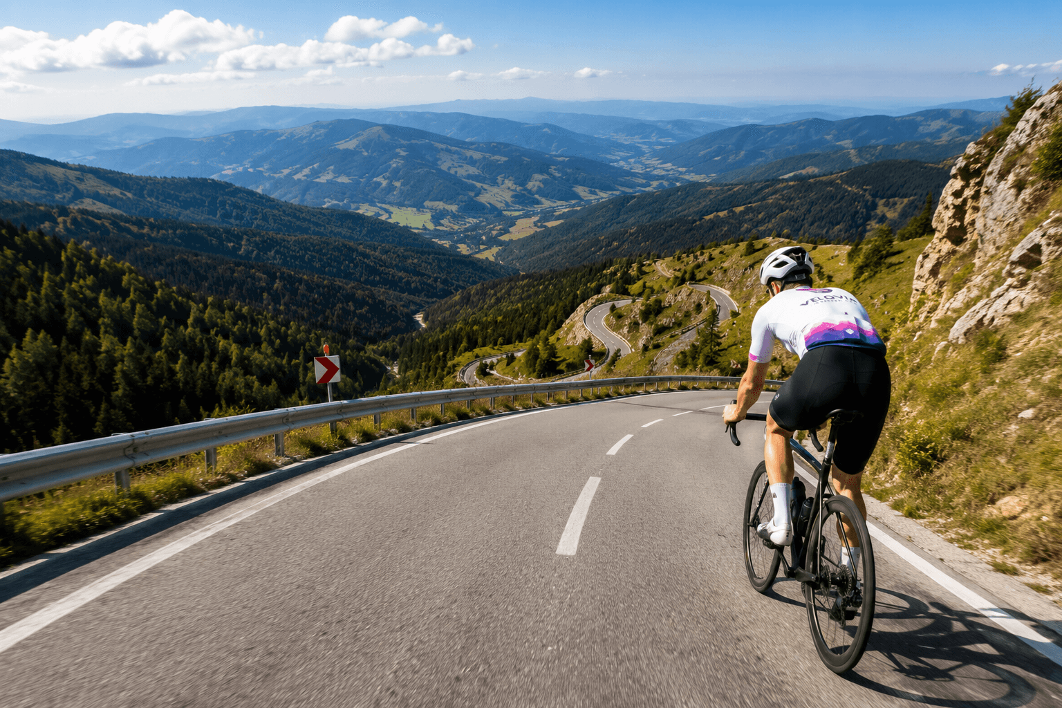 Rhodope ridgelines and pine forest
